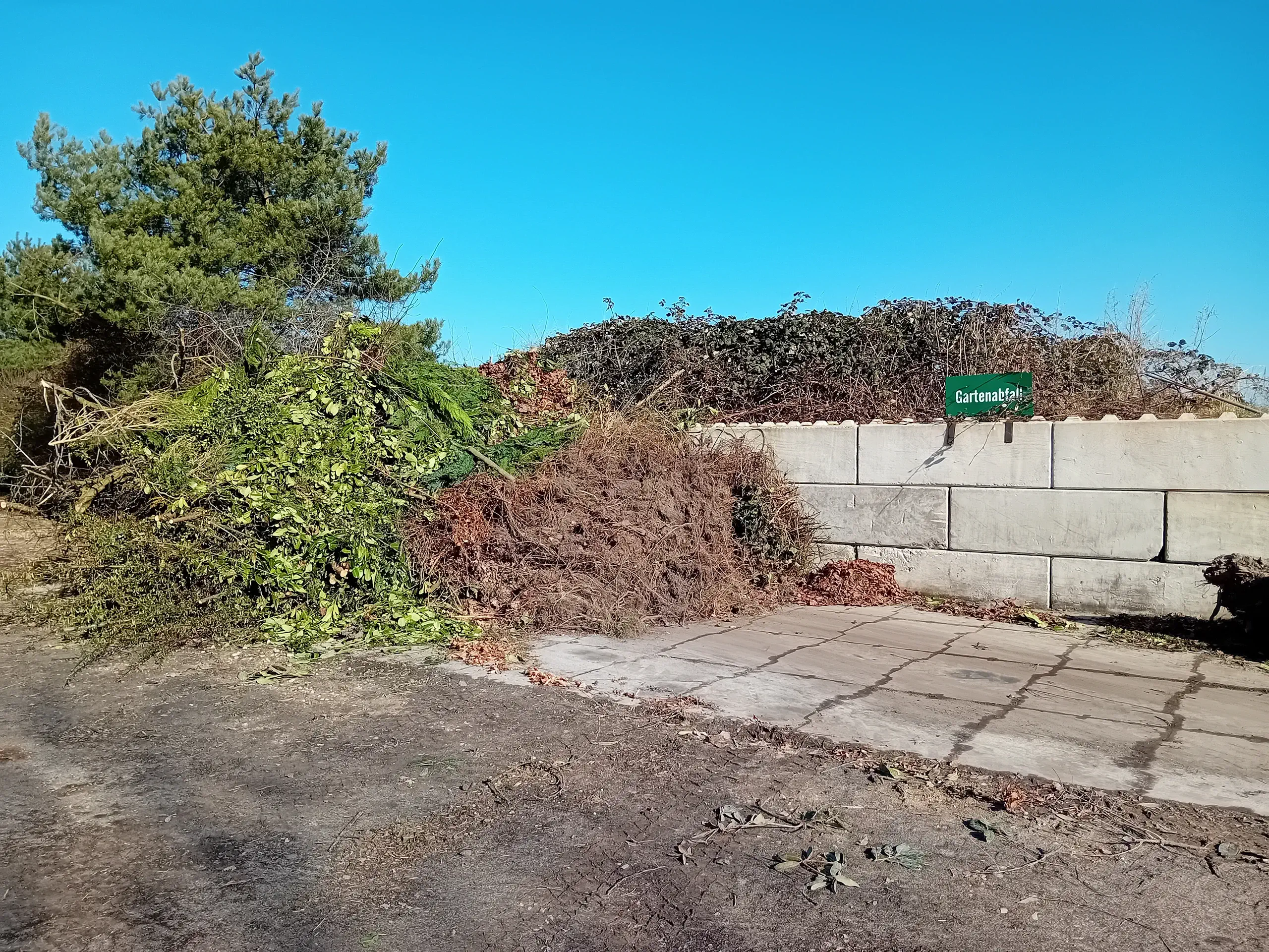 conteriner_dienst_01